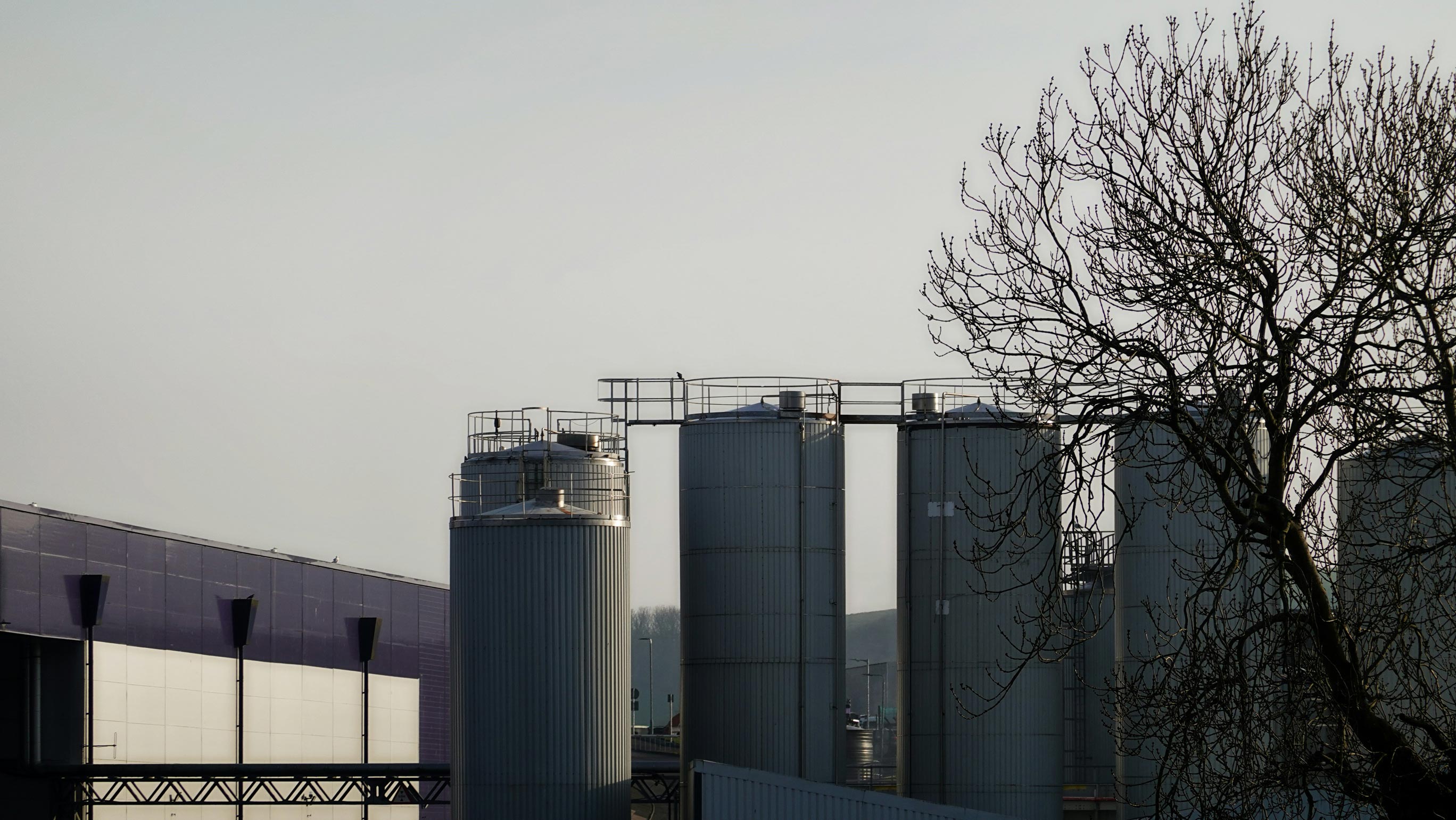 Chemical Plant